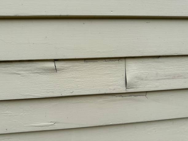 Best Construction Debris Removal  in Belhaven, NC